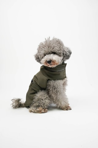 Casaco para cão - Caqui