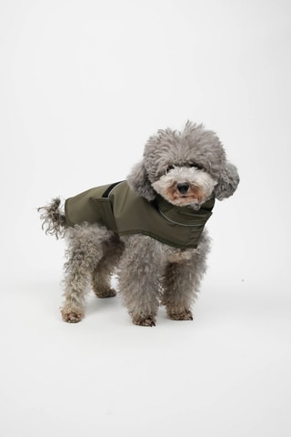 Casaco para cão - Caqui