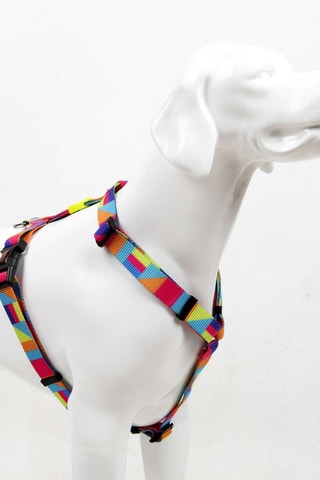 Arnês para cão - Tamanho L