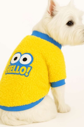 Camisola para cão - Amarelo e azul