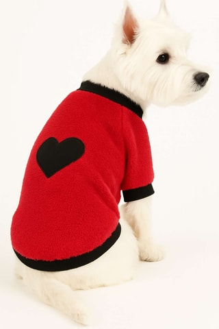 Camisola para cão - Vermelho e preto