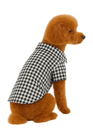 Camisola para cão - Preto e branco