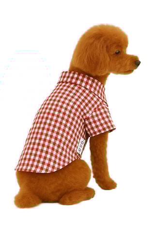 Camisola para cão - Vermelho e branco