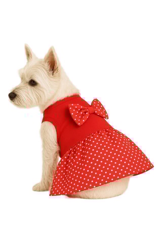 Vestido para cão - Vermelho
