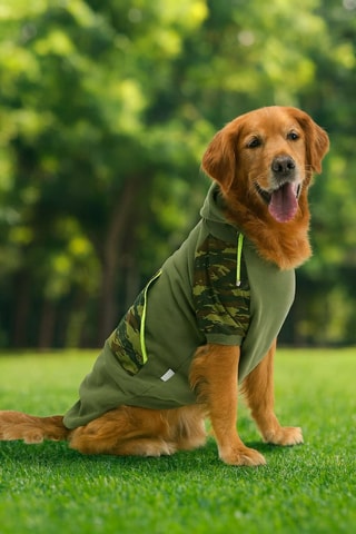 Sweat para cão - Caqui