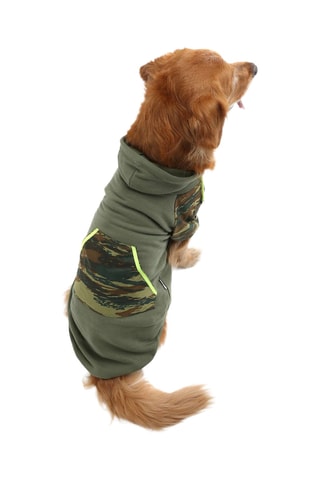 Sweat para cão - Caqui