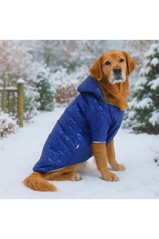 Casaco acolchoado com capuz para cão - Azul-escuro