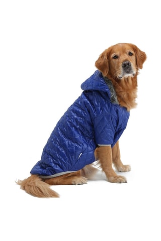 Casaco acolchoado com capuz para cão - Azul-escuro