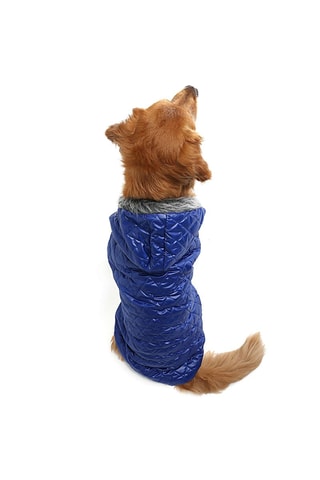 Casaco acolchoado com capuz para cão - Azul-escuro