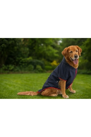 Impermeável com capuz para cão - Azul-marinho