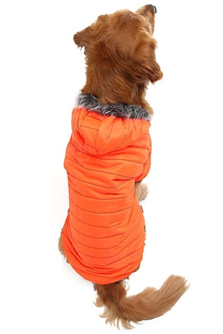 Casaco acolchoado com capuz para cão - Laranja