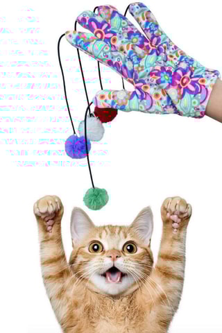 Luva de brincadeira para gato - Rosa