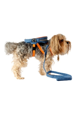 Mochila de ganga para cão - Azul,