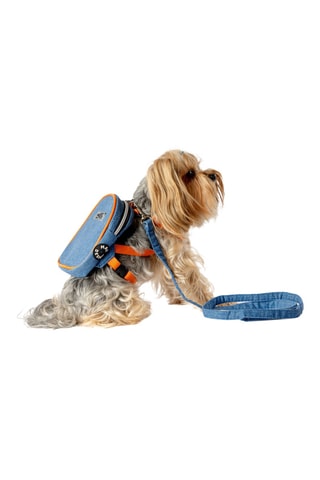 Mochila de ganga para cão - Azul,