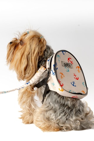 Mochila para cão - Creme