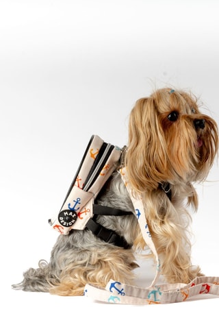 Mochila para cão - Creme