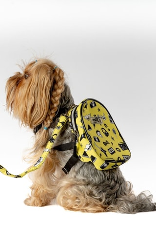 Mochila para cão - Amarelo