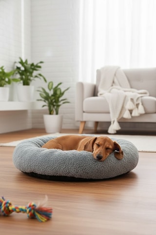 Cama para cão - Cinzento - 47 x 47 x 10 cm