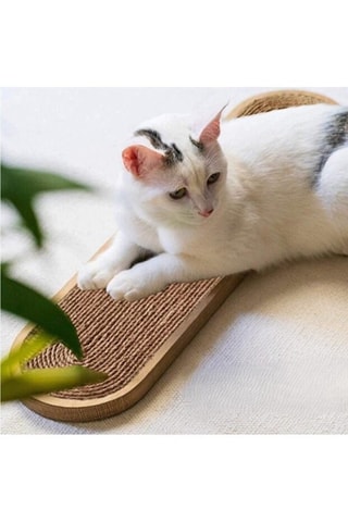 Arranhador - 51 x 19 x 1,8 cm