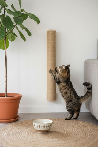 Arranhador para gato - 53 x 13 x 13 cm