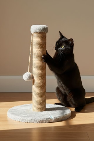 Arranhador para gato - 52 x 30 cm