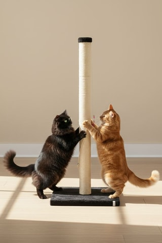 Arranhador - 102 x 37,5 x 37,5 cm