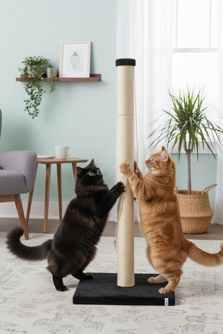 Arranhador - 102 x 37,5 x 37,5 cm