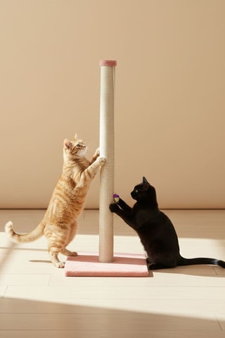 Arranhador - 102 x 37,5 x 37,5 cm