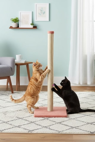 Arranhador - 102 x 37,5 x 37,5 cm