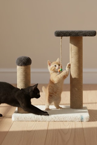 Arranhador - 35 x 44 x 28 cm