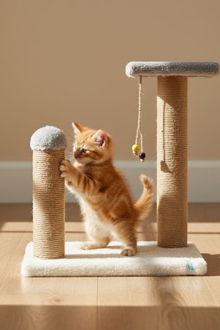 Arranhador - 35 x 44 x 28 cm