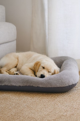 Almofada - Cinzento - 95 x 115 x 12 cm