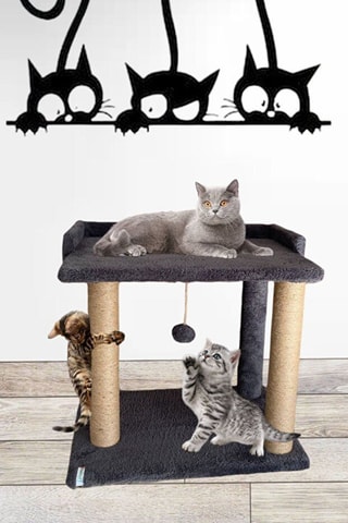 Árvore para gato - 50 x 48 x 35 cm