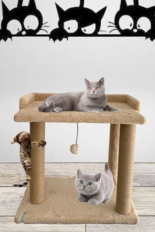 Árvore para gato - 50 x 48 x 35 cm