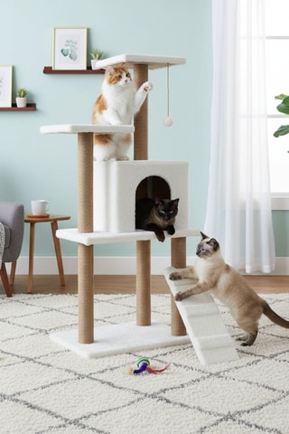 Árvore para gato - 125 x 50 x 35 cm