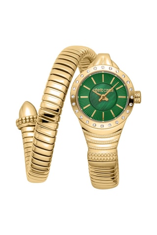 Montre à quartz en acier et nacre Regina - Doré et vert