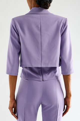 Veste - Mauve