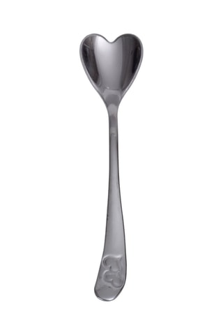 6 lepels van roestvrij staal 11 cm