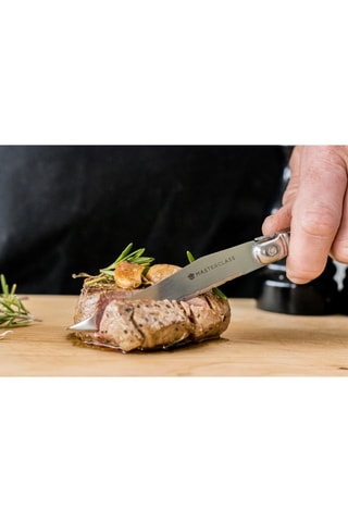 6 facas de bife em aço inoxidável - 25,5 cm