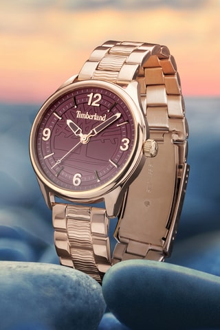 Stalen en Doublé Roségoud Quartz Horloge