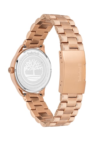 Stalen en Doublé Roségoud Quartz Horloge