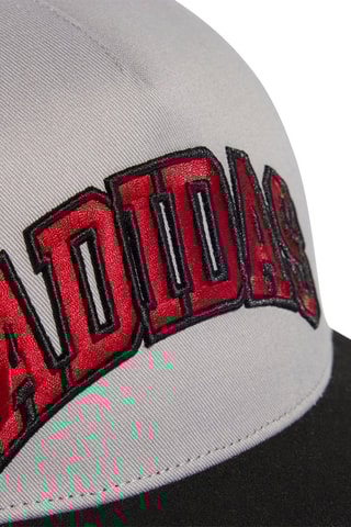 Casquette - Noir et gris