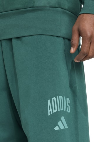 Pantalon Collegiate - Vert foncé