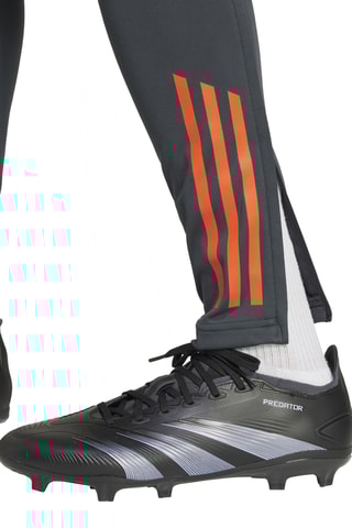 Pantalon SL Benfica Club de football - Gris foncé