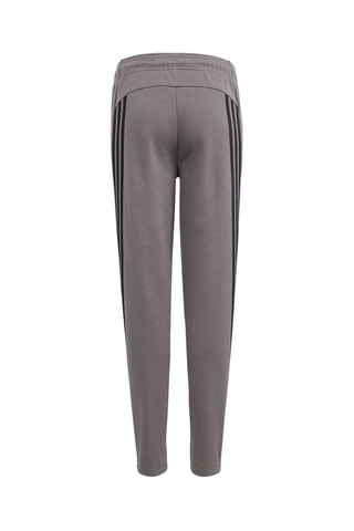 Pantalon de survêtement Future - Gris foncé