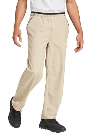 Pantalon de randonnée Terrex - Beige
