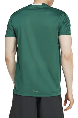 T-shirt Legacy - Vert et blanc