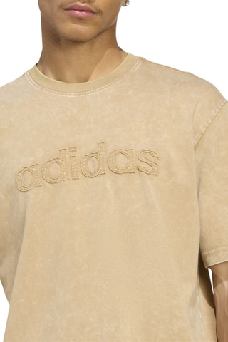 T-shirt tie and dye Washed - Marron clair