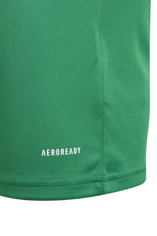 Maillot Squadra 21 - Vert clair