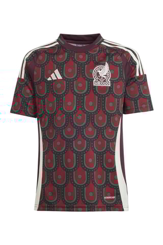 Maillot de football Mexique - Bordeaux et vert foncé